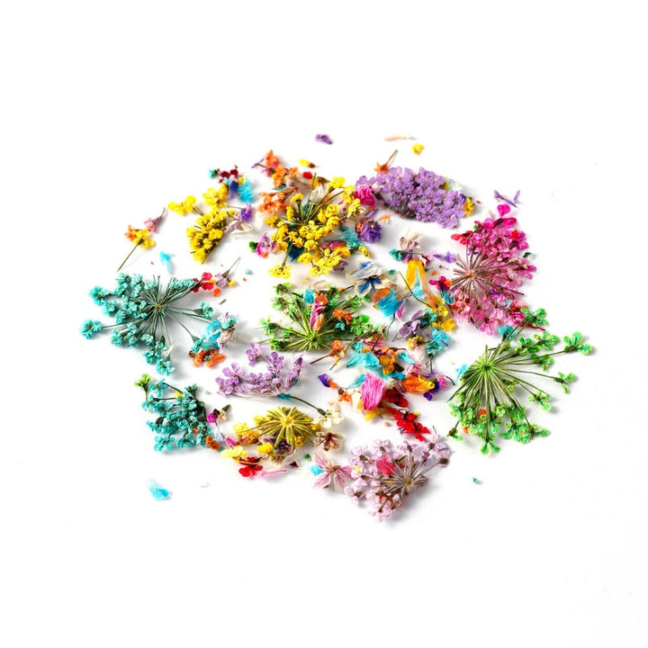 Dried Flowers